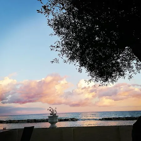 Отель Eden Park 4*