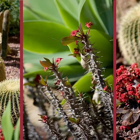 Eden Park Отель Диано-Марина